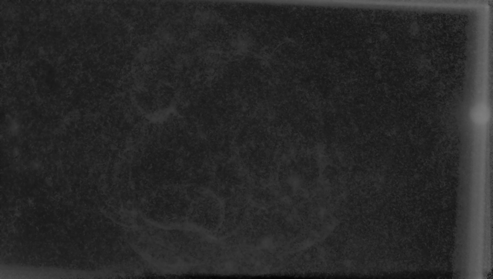 spaghetti-270124osg1_GraXpertg4g3w.jpg