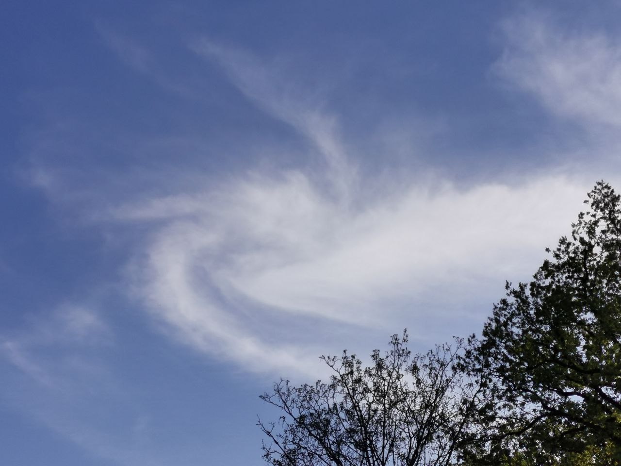 Spirale.jpg