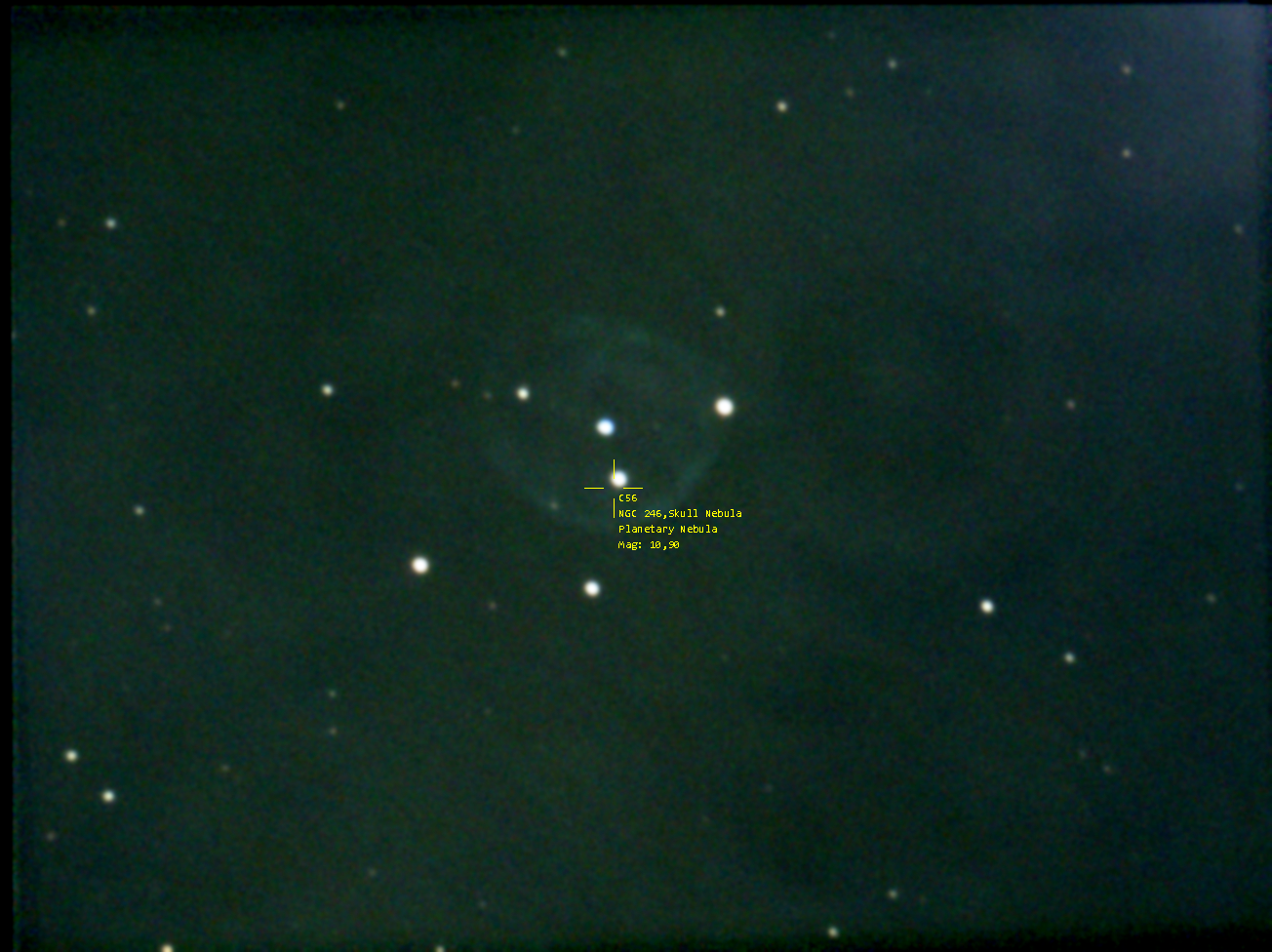 Stack_147frames_882s_WithAnnotations.png