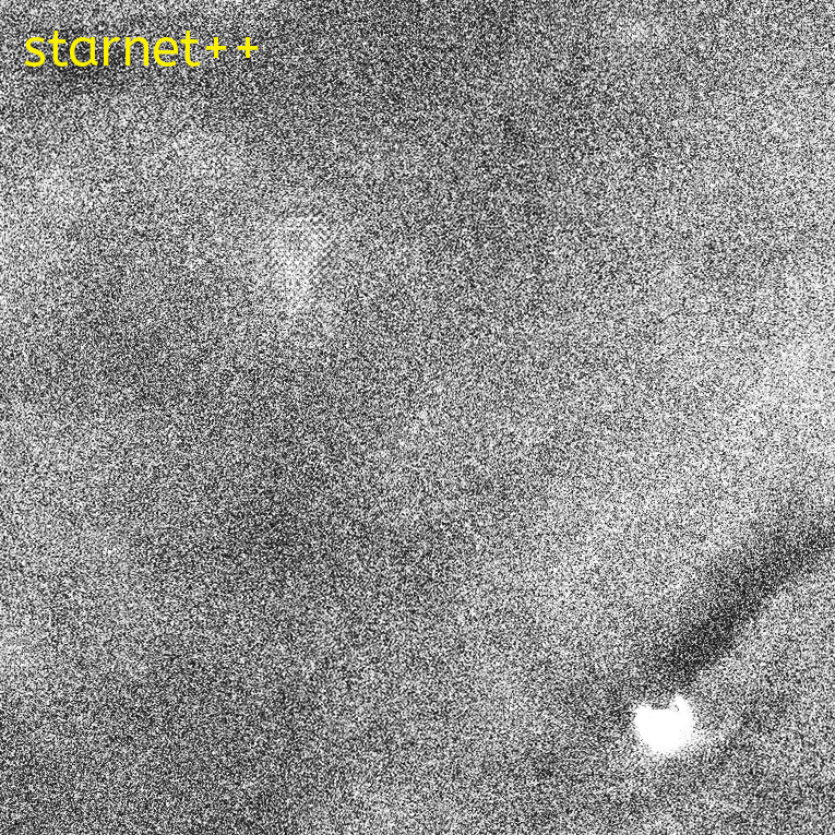 StarXterminator_vs_starnet++.gif