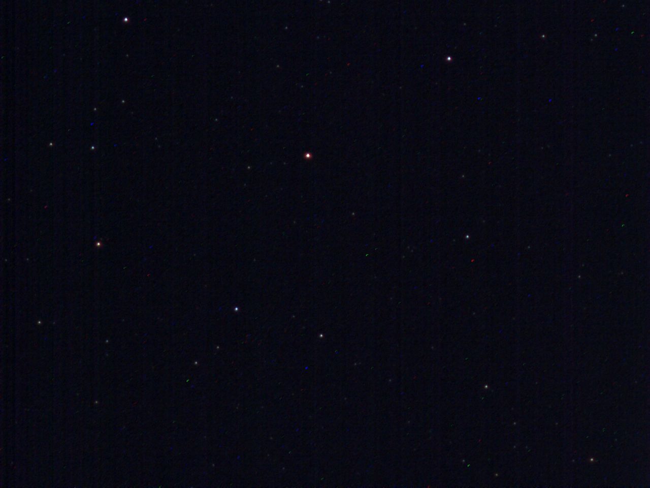 sternmcf5-6.jpg
