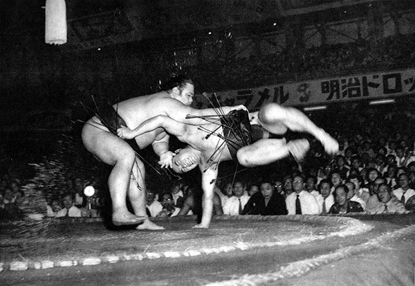 Sumo.jpg
