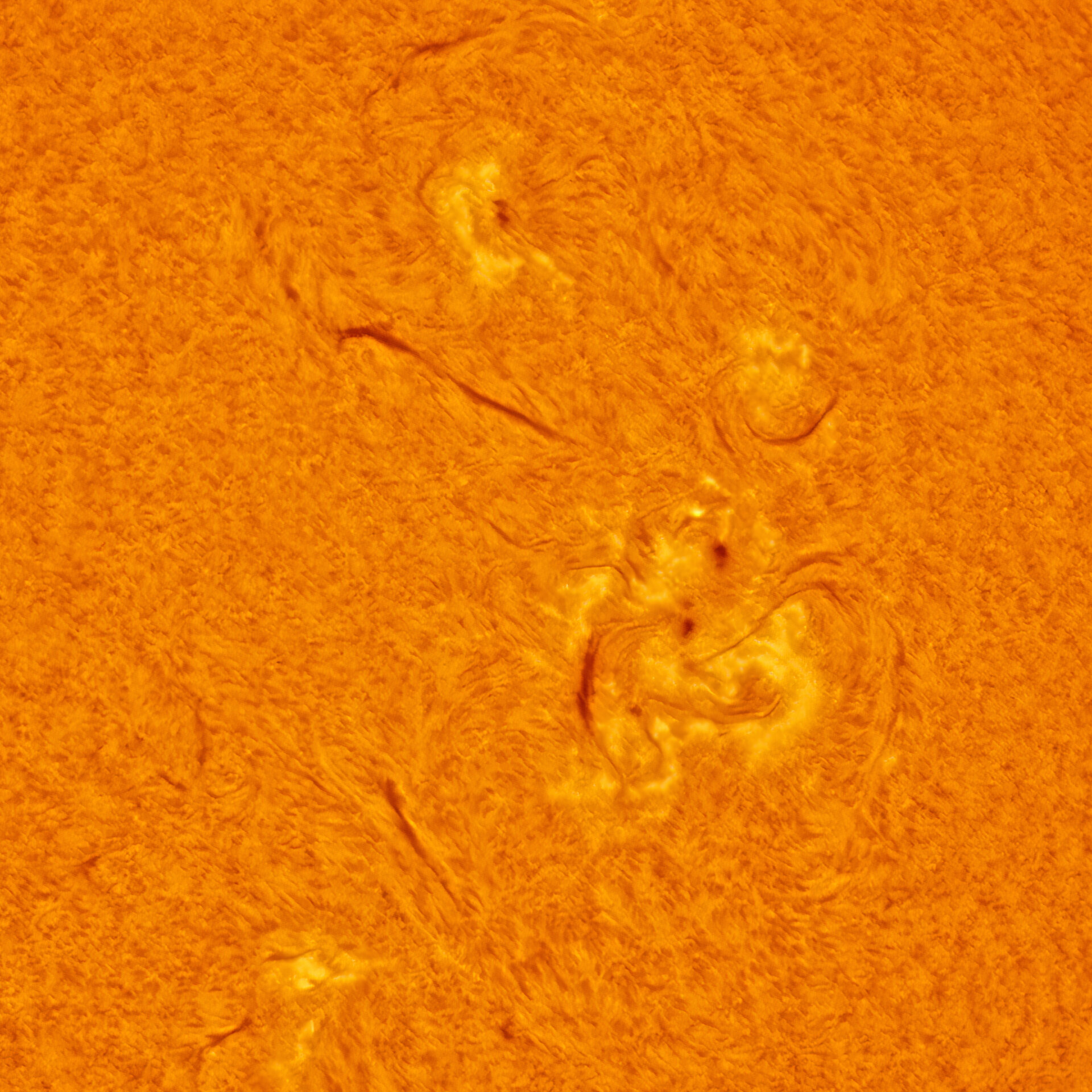 Sun-01-06-2025-14:15-Hamois-Belgium-crop1.jpg