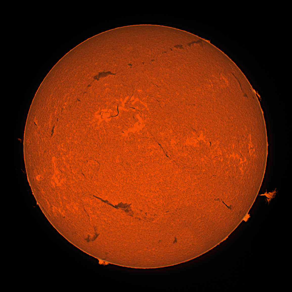 Sun-2025-08-17-AF2.jpg