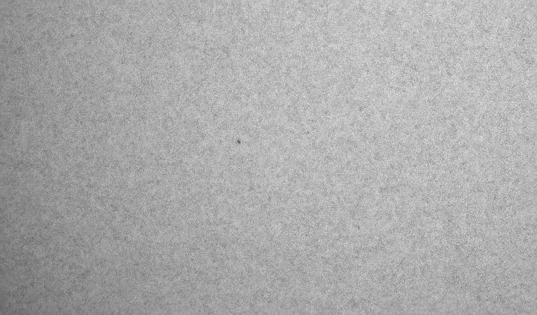 Sun_101132_lapl3_ap3509.jpg