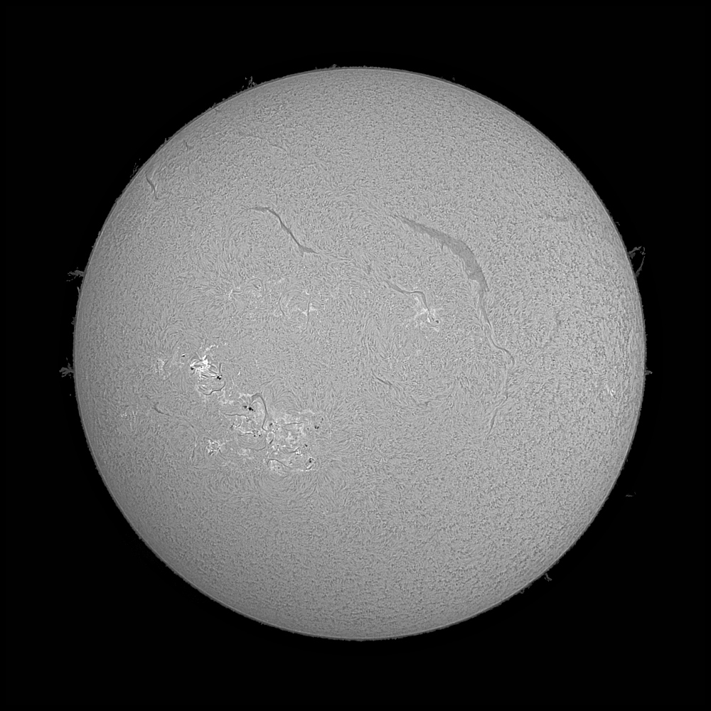 Sun_125912_BW-hell -_AS_F17_conv  n.jpg