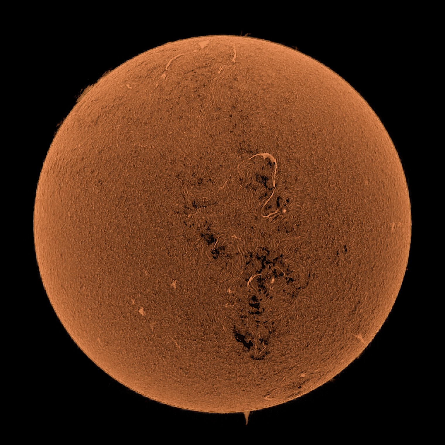 Sun_2026-09-12_E2NEG.jpeg