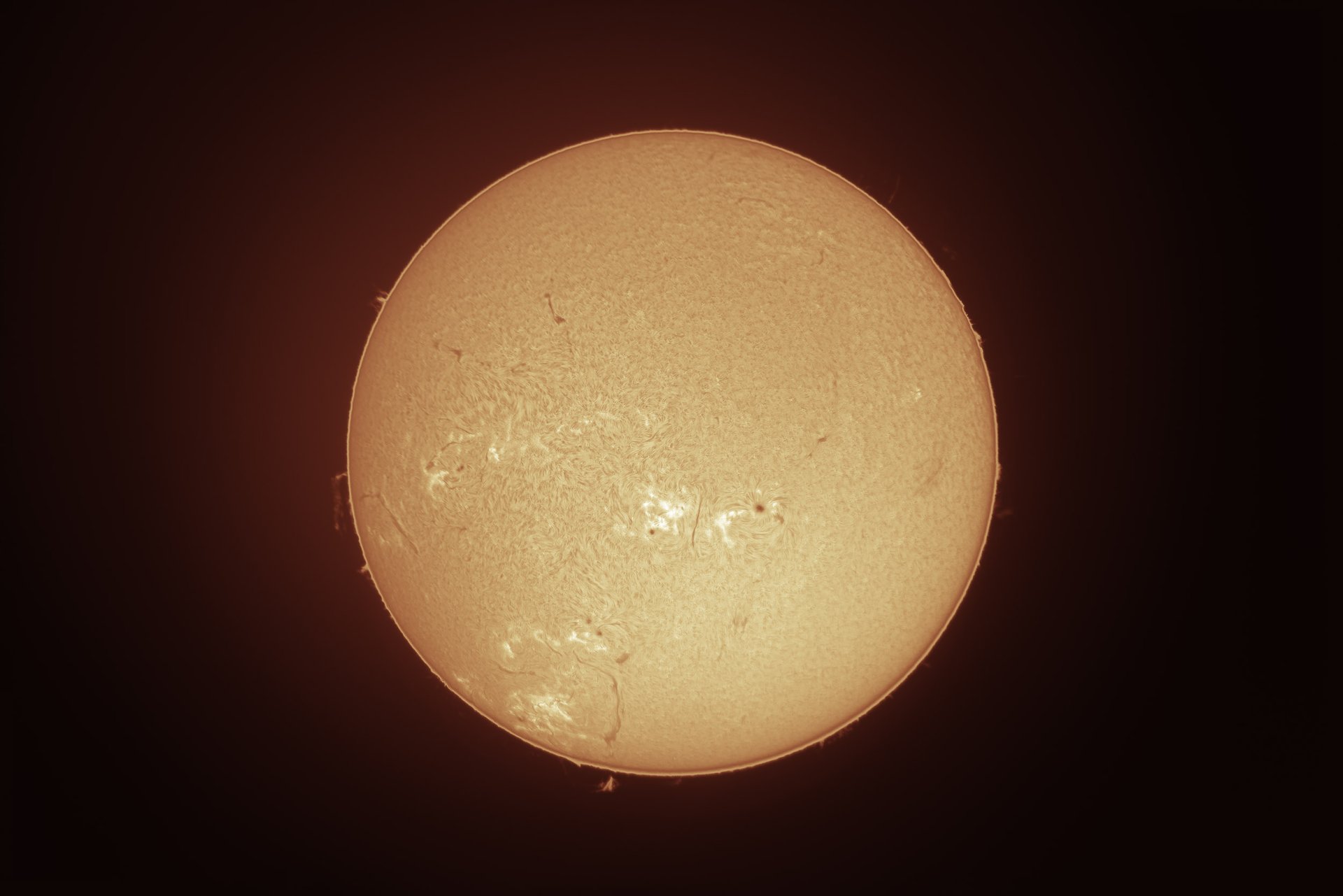Sun_25.06.2024 Kopie.jpg
