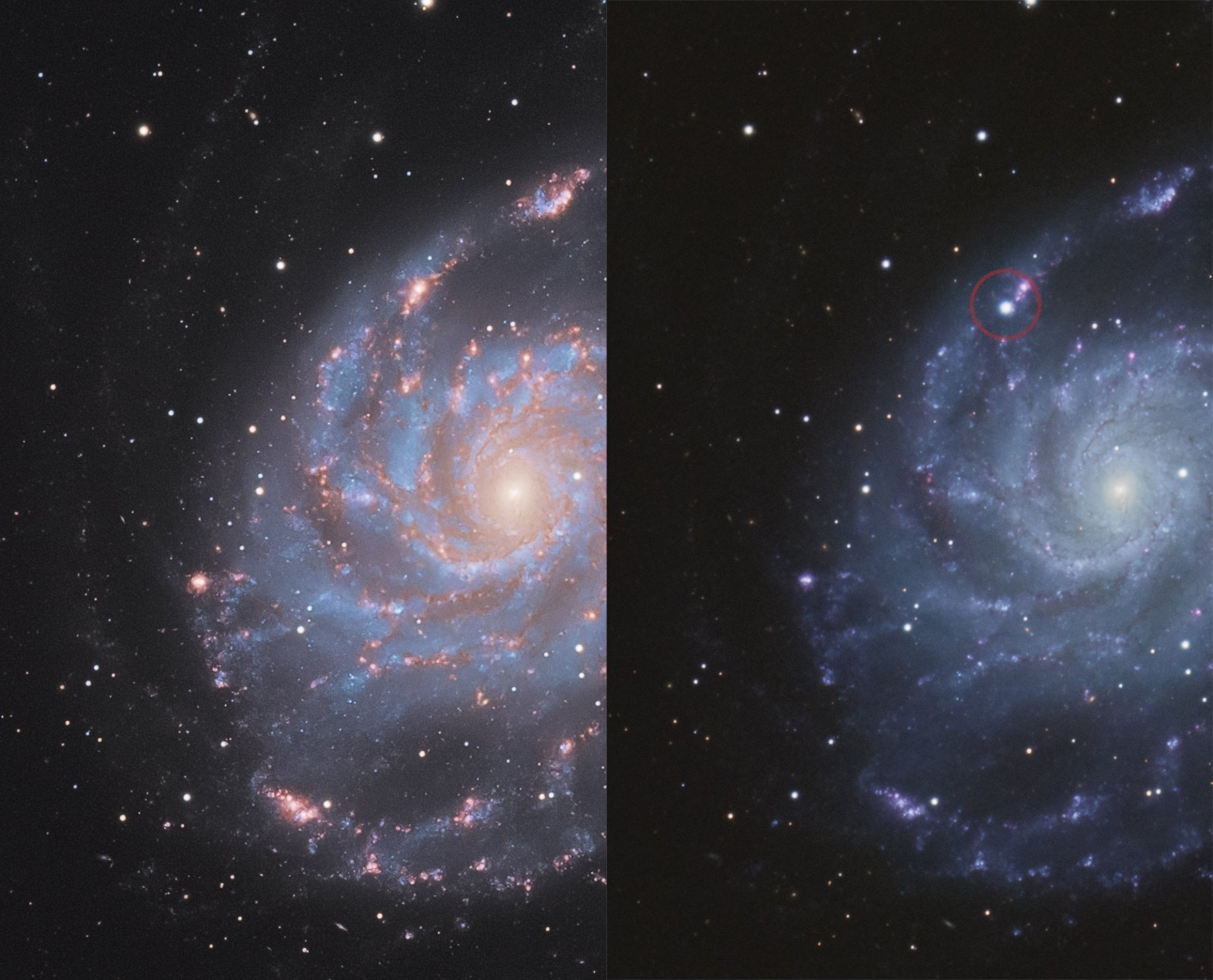 Supernova_2023.jpg