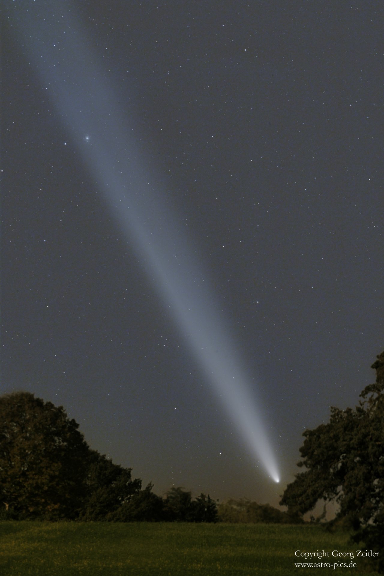 TA-200mm-Baum_small.jpg