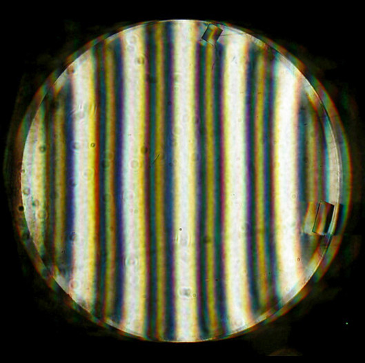 Televue NP 101  Ronchigramme  10 LP durch mm.jpg