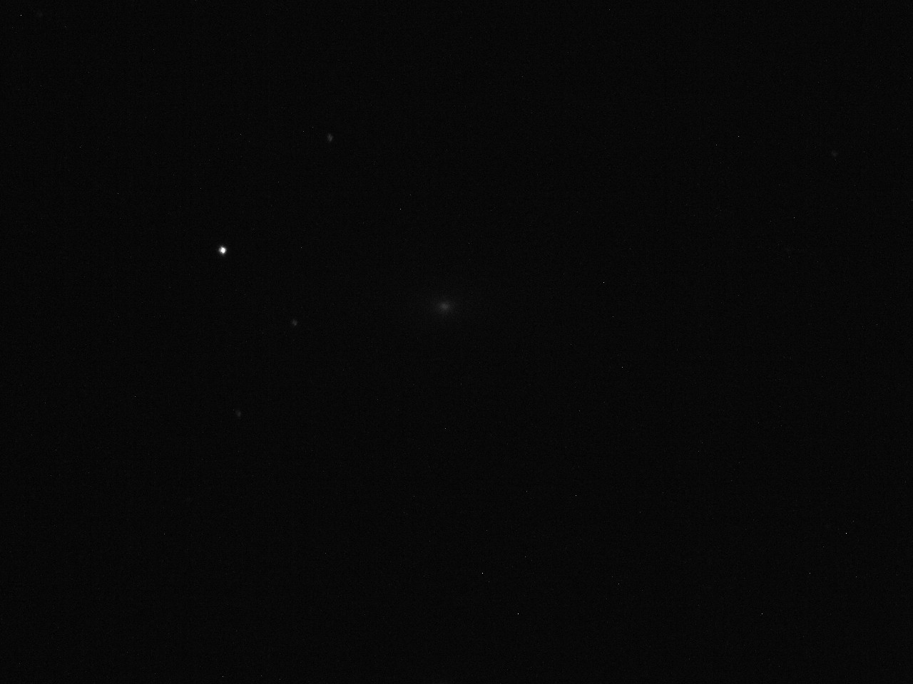 tigerauge-180523a0000.jpg