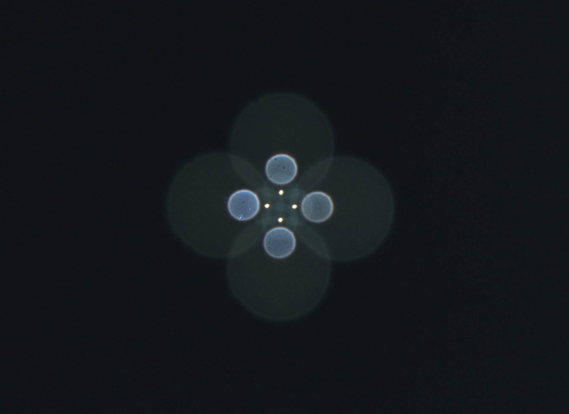 TS EDT 115-800mm.jpg
