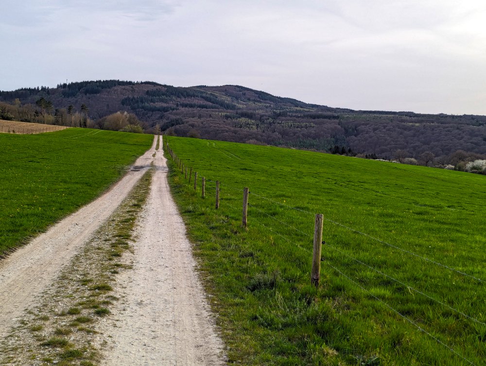 Umgebung1.jpg