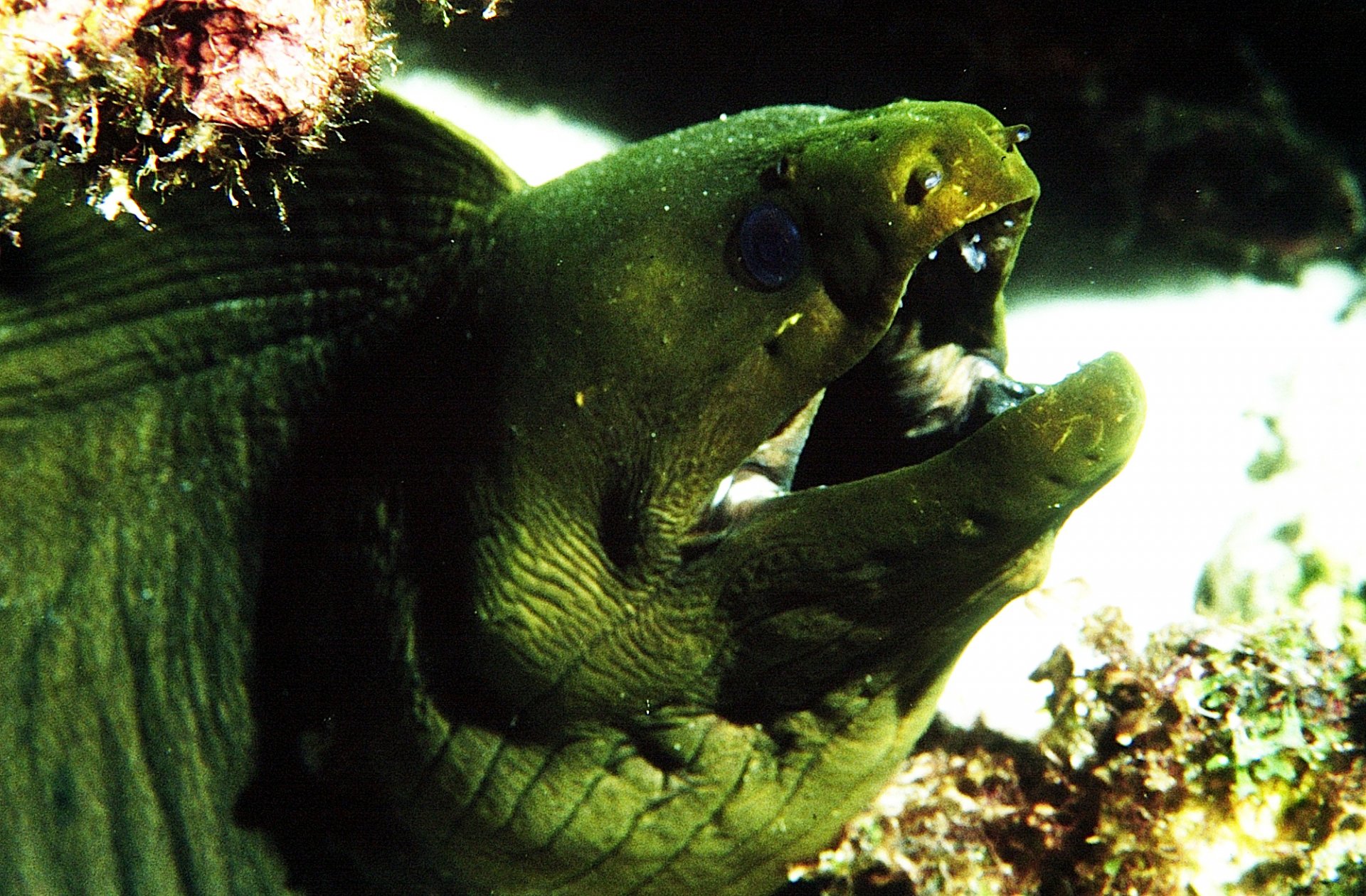 UW-Img0010.JPG
