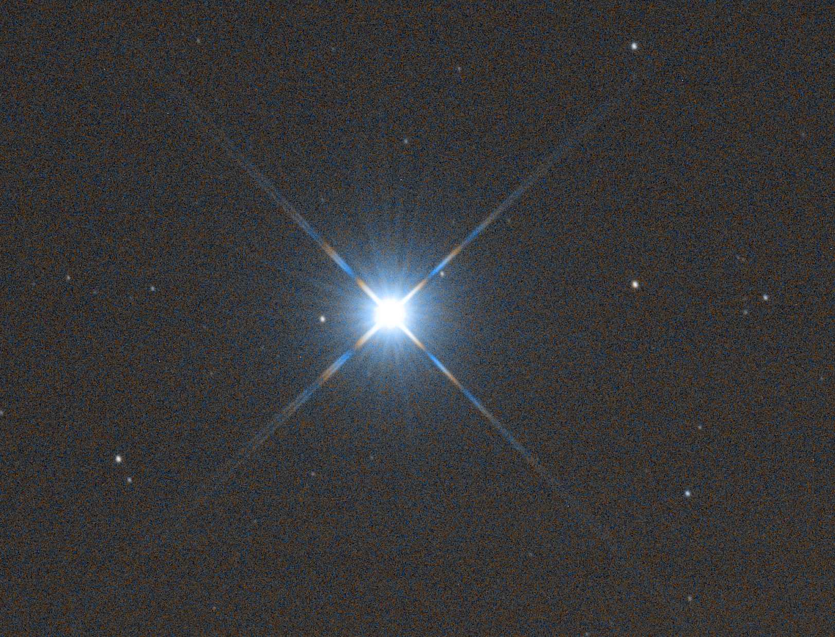 Vega Spinne.jpg