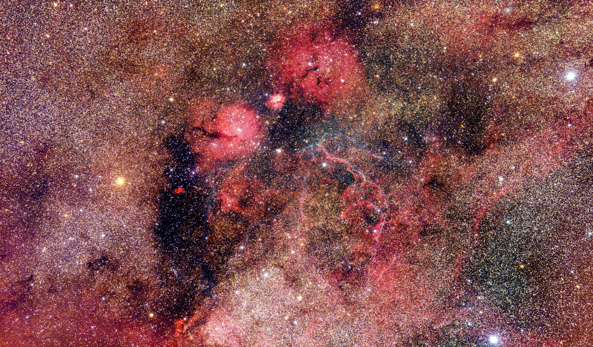 Vela_26x3kleincropgut.jpg