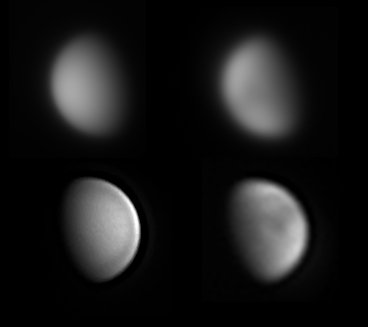 venus-070626.jpg