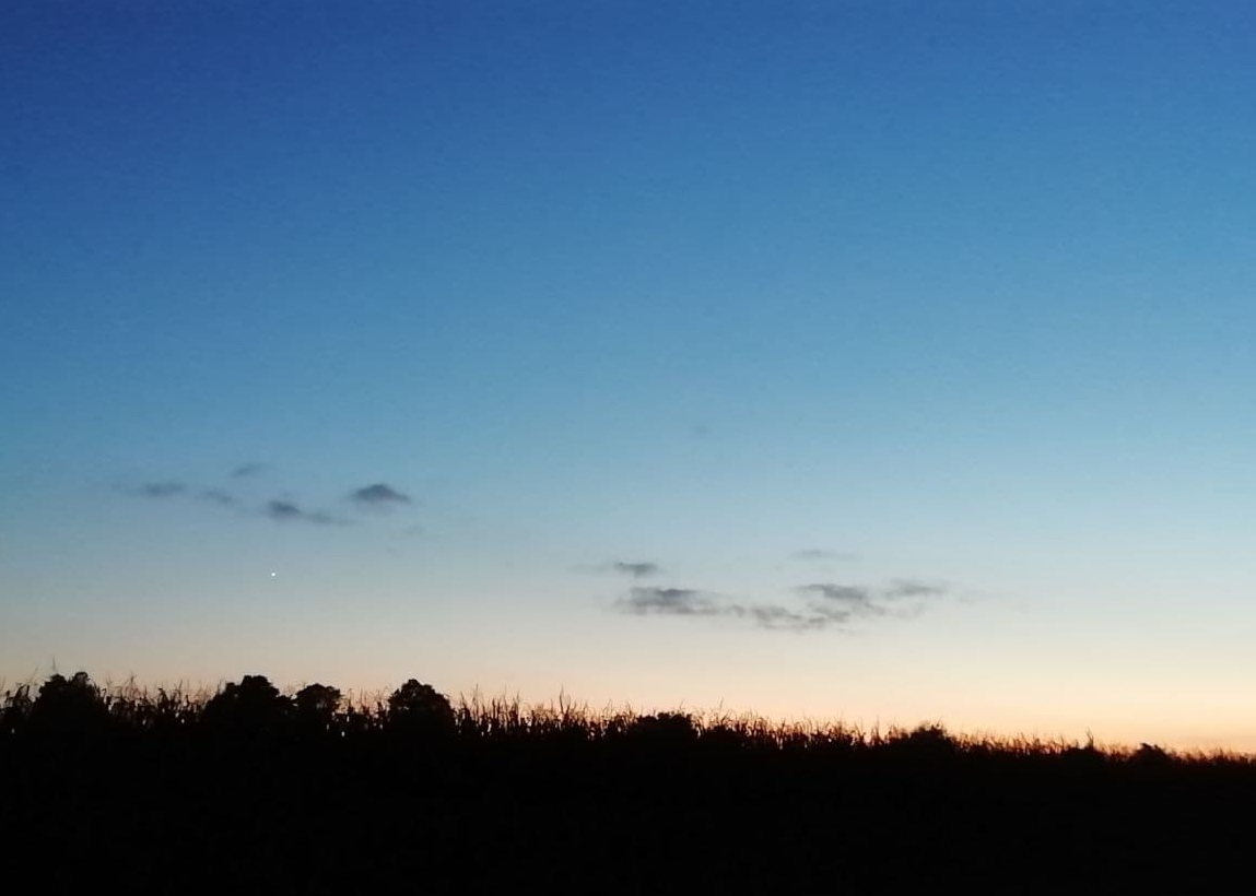 Venus 16-10-21.jpg