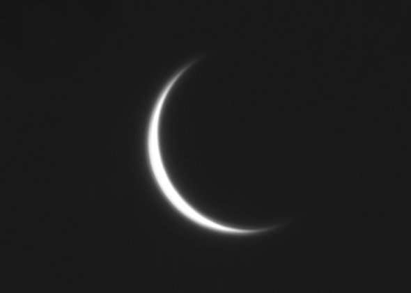 Venus 17.3.25.jpg