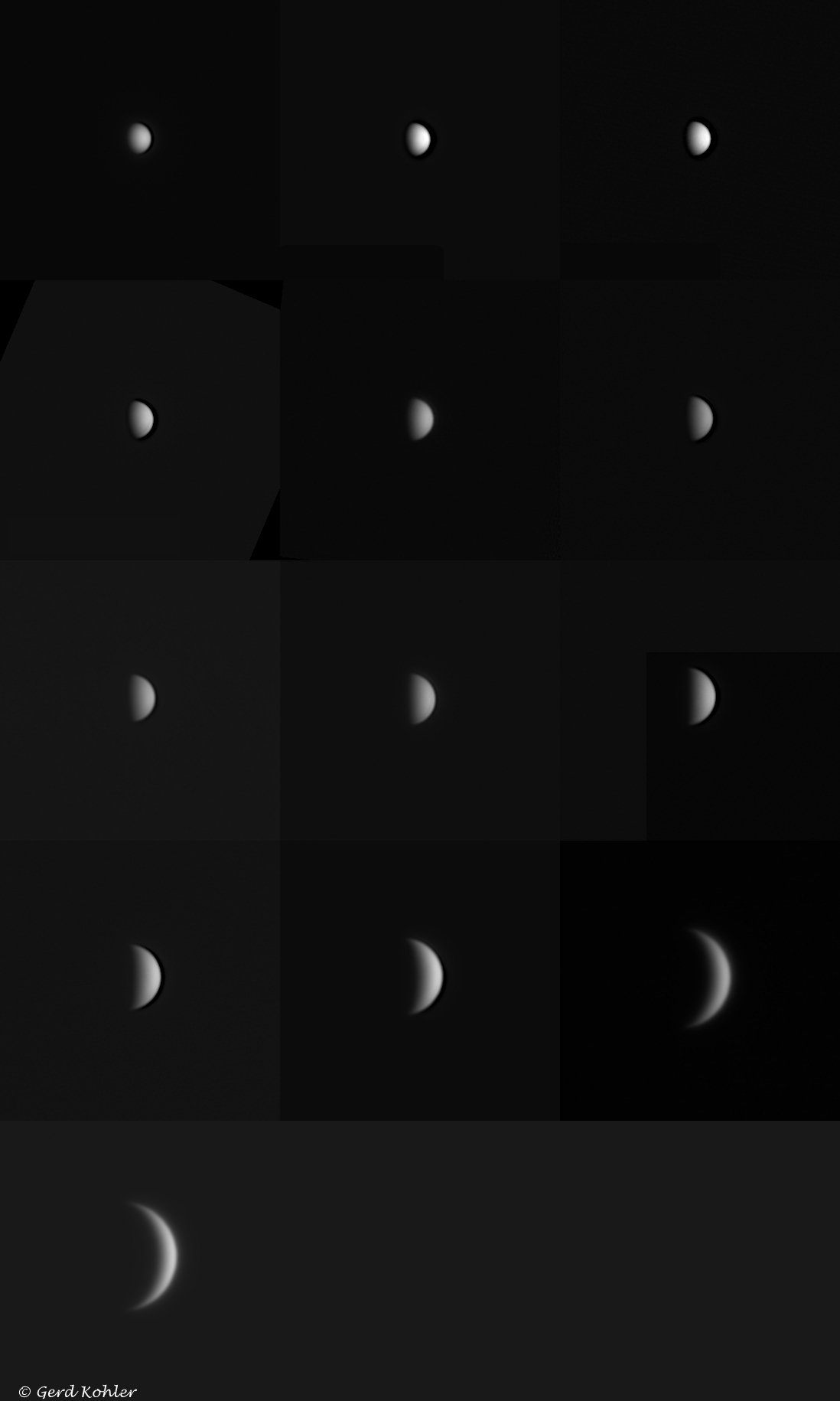 Venus-2026.jpg