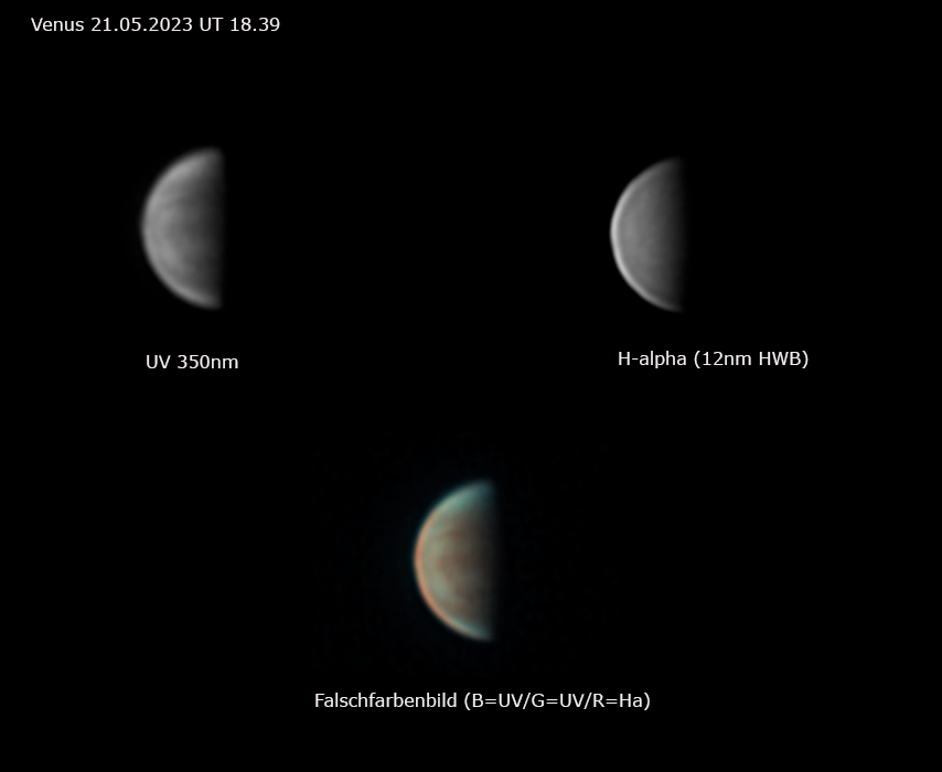Venus 21_05-2023.jpg