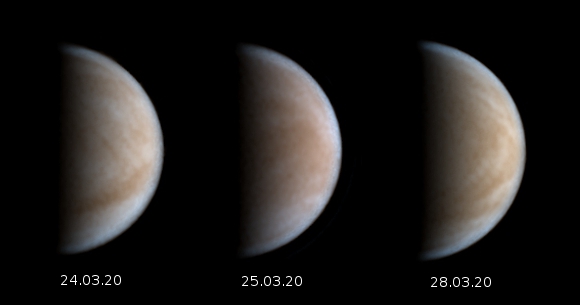 venus-24bis280320.jpg