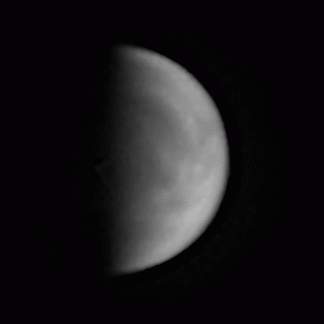 venus-ani-260523.GIF