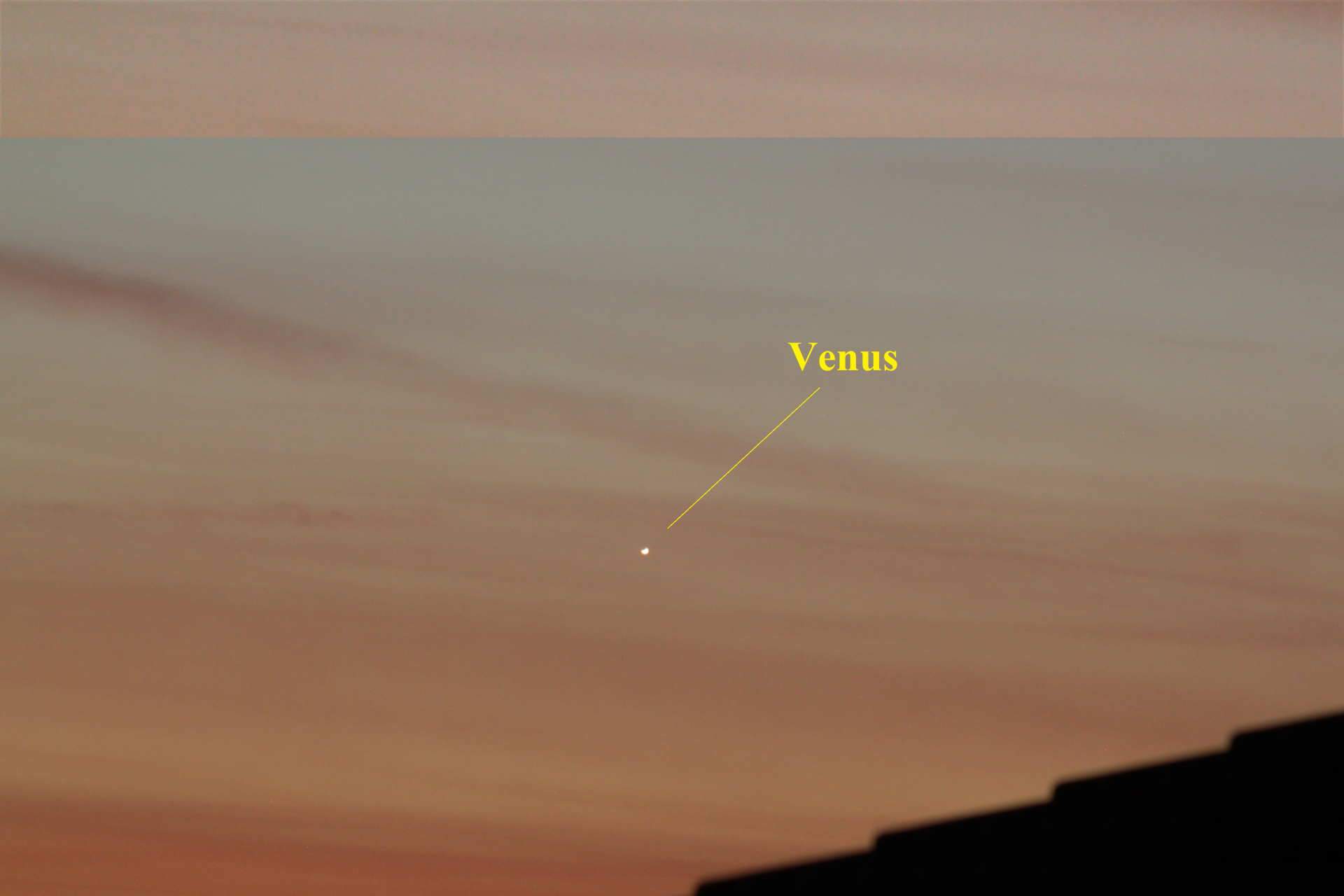 Venus bez.png