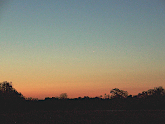 venus2025-04-08.jpg