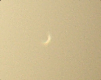 Venus2025_03_18_ca06:20MEZ_singelshot_cb.jpg