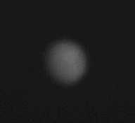 Venus_095723_020619ani.gif
