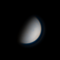 Venus_2020-02-24-1631_1-V4a240x240.jpg