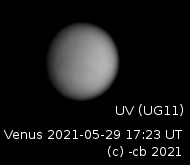 venus_2021-05-29.jpg
