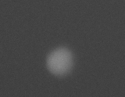Venus_210521_193150video.gif