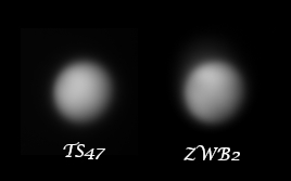 Venus_310521_summe.jpg
