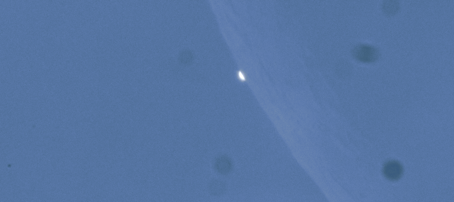 Venus_4_1758288607771.png