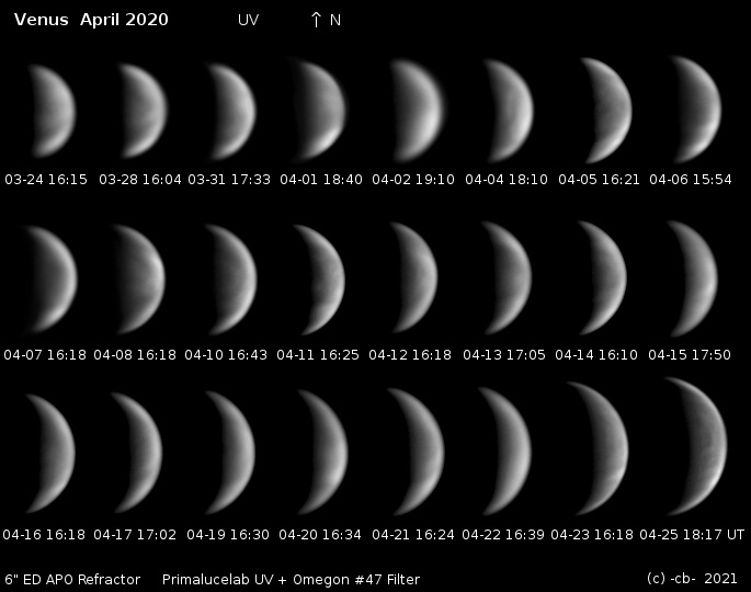venus_april_2020.jpg