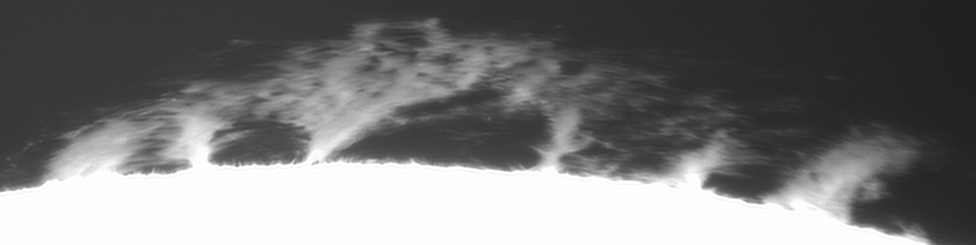 Video 1 (33).gif