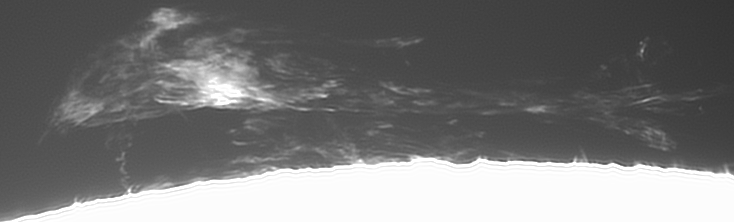Video 1 (38).gif