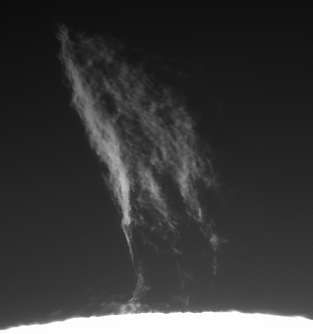 Video 29.gif