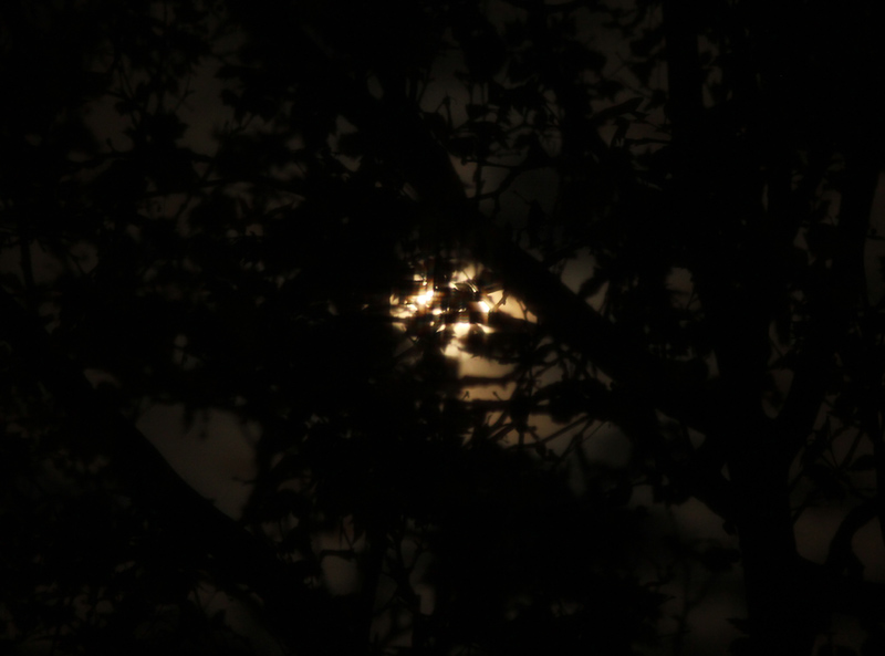 vollmond_240423.jpg