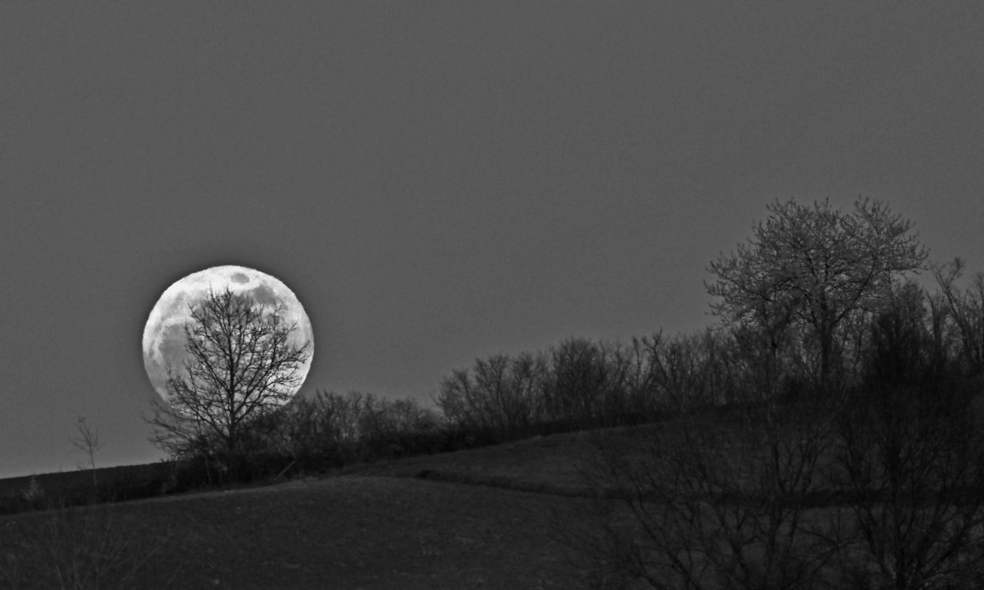Vollmondaufgang 12-04-25.jpg