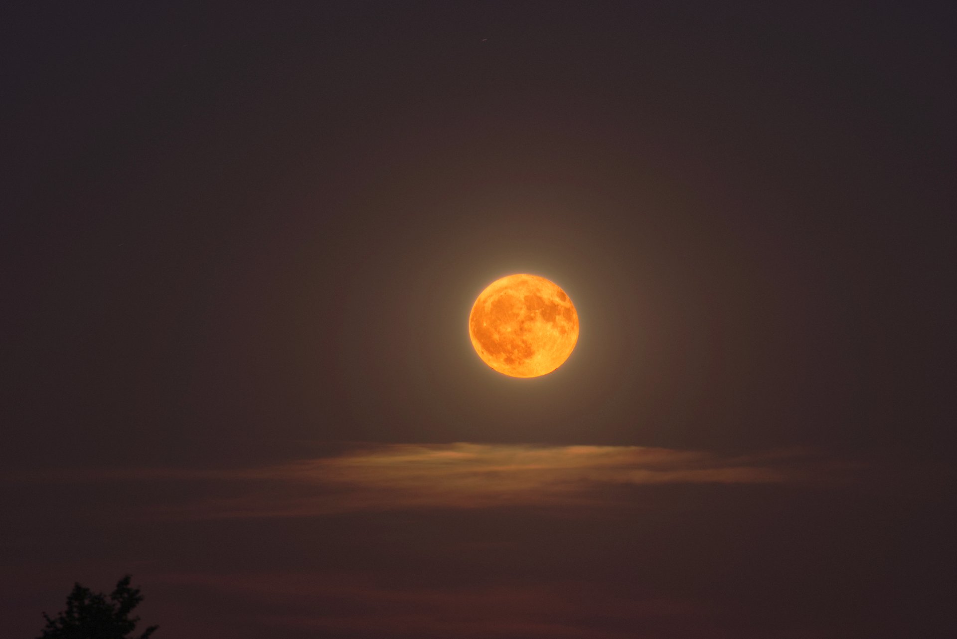 Vollmondaufgang 20250611 Erdbeermond.jpg