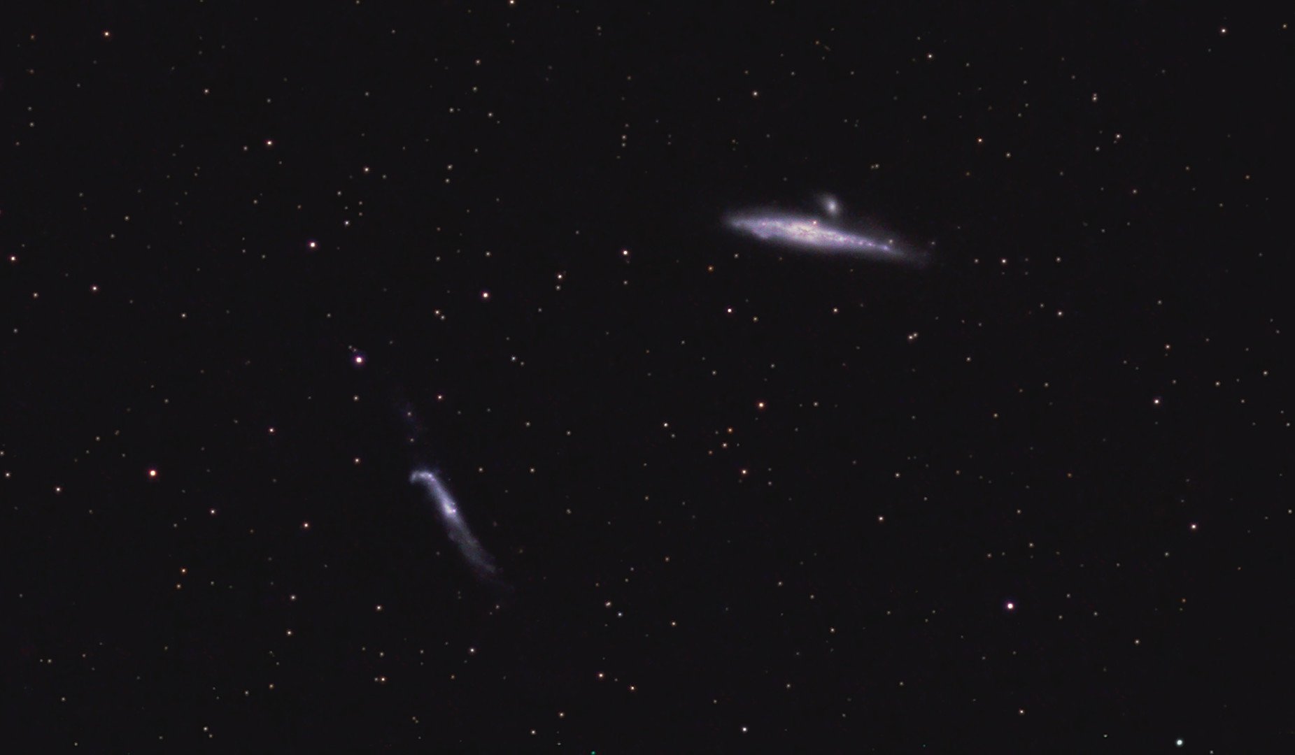 walgalaxie-310325u100426-L-RGB-200mmc.jpg
