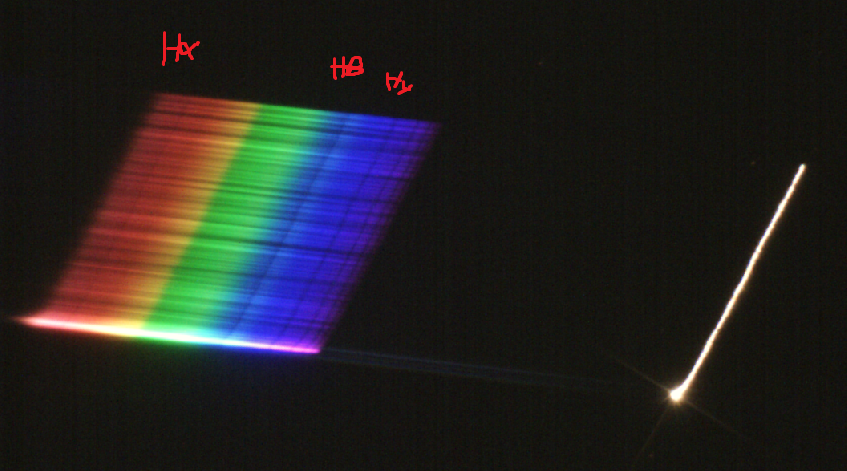 wega__spektrum (1).PNG