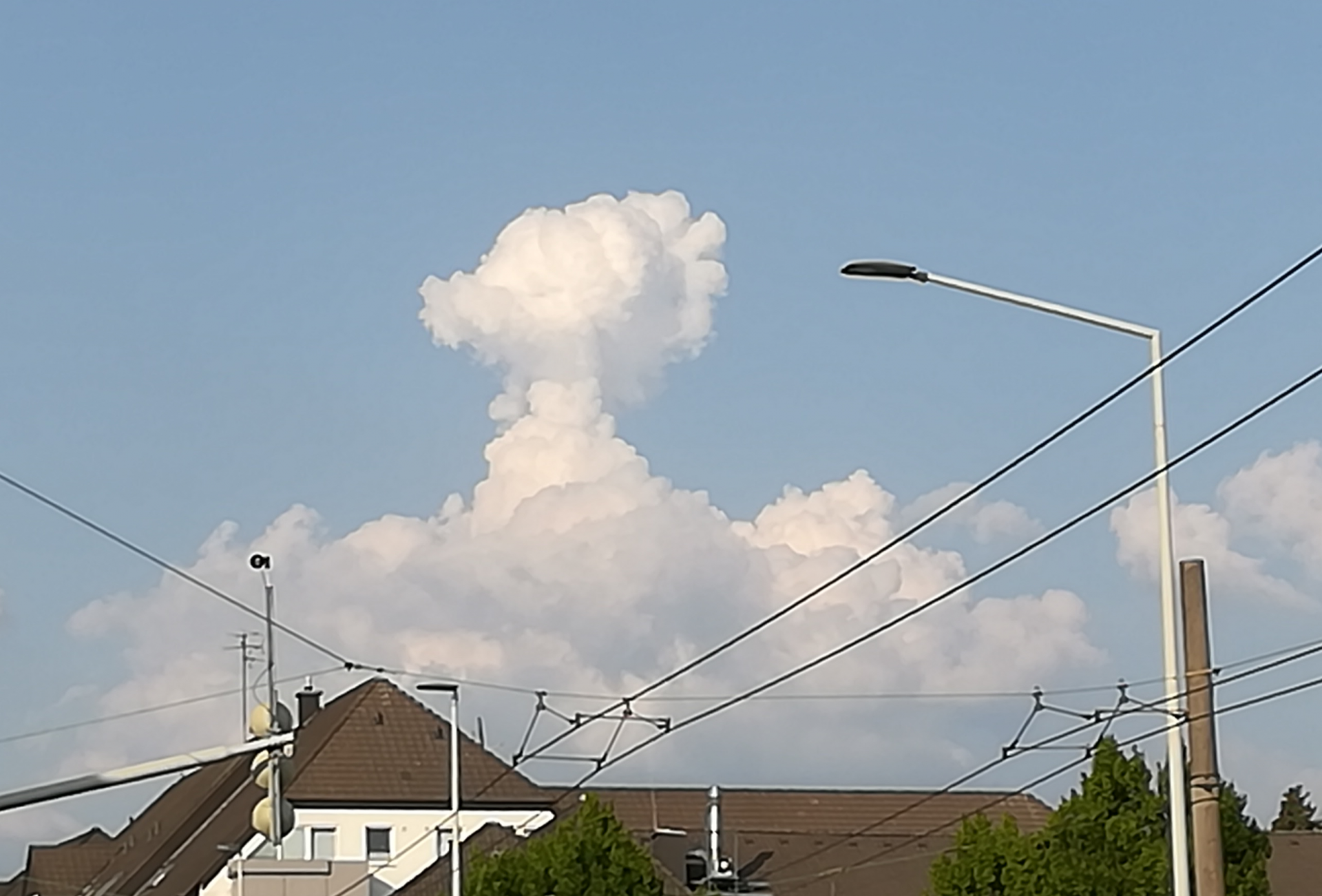 Wolke_copped.png