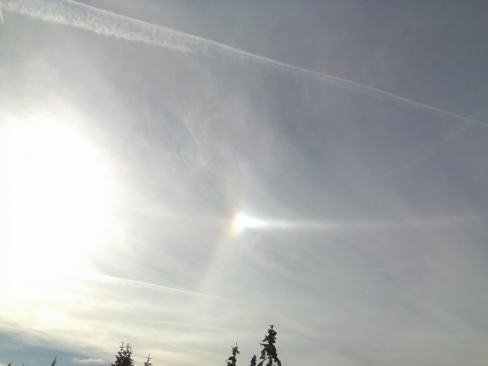 WP_20161104_008.jpg