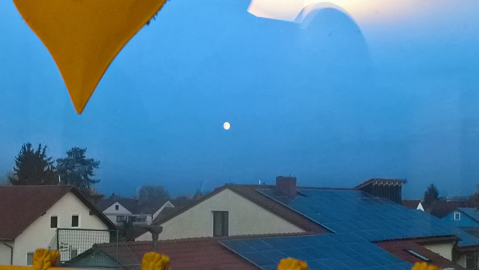 WP_20191110_16_46_32_Pro.jpg