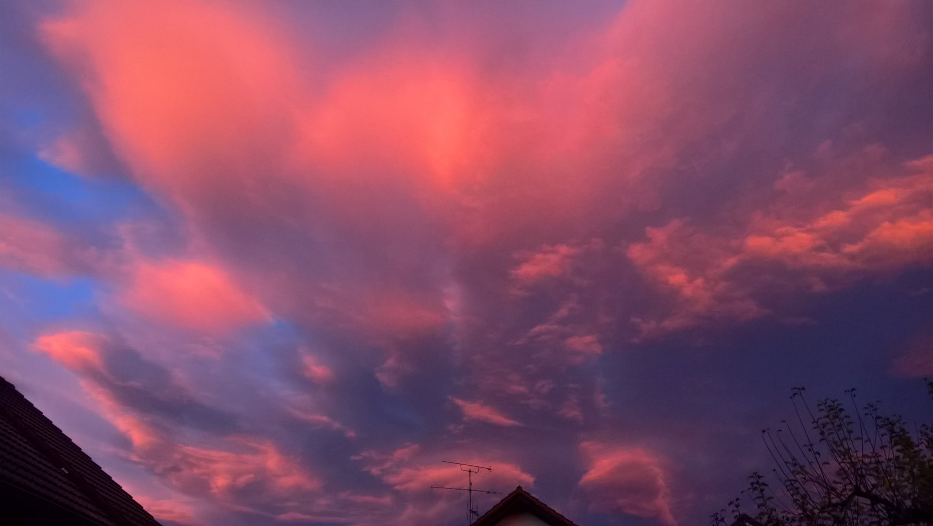 WP_20191115_07_06_58_Pro.jpg